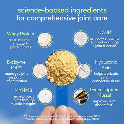 Native Pet Hip & Joint Advanced Care Dog Joint Supplement Powder for Mobility & Movement Support, Joint Supplement for Dogs with HMB, UC-II Collagen, Green Lipped Mussel & Hyaluronic Acid – 120 Scoops