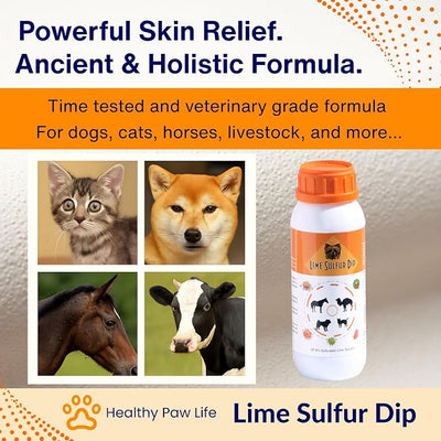 Classic's Lime Sulfur Dip (16 oz) - Extra Strength Formula - Safe Solution for Dog, Cat, Puppy, Kitten, Horse