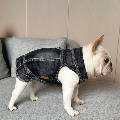 Dog Jean Jacket Pet Black Denim Coat for Puppy Small Dogs T-Shirt Fashion Classic Overalls Girl Male Boy Cat Costumes Vintage Machine Washable Vest Clothes Outfit Shirts（Black，X-Large）