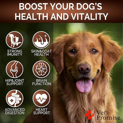 Turkey Tail Mushroom for Dogs - 170 Chews - Mushroom Supplement for Dogs - Lions Mane - Reishi - Immunity Support Multivitamin Vitamins - Joint Health - Energy - Gut - Skin - Made in USA