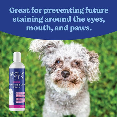 Angels' Eyes Tear Stain Remover for Dogs & Cats, 8 oz | Gentle Pet Eye Cleaner, Chamomile Extract & Aloe Vera, Cleans Tear Residue, Dirt & Buildup, For Eyes, Face, Mouth & Paws
