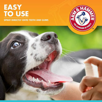 Arm & Hammer for Pets Dog Oral Care Spray, Mint Flavor Breath Freshener with Baking Soda for Brushless Plaque and Tartar Support, Easy Daily Dental Maintenance for Adult Dogs, 4 Fl Oz