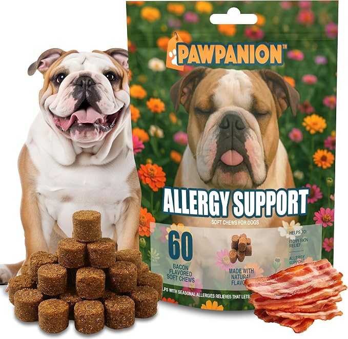 Allergy Soft Chews for Dogs Itchy Skin Relief 60 Count