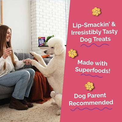 Fruitables Baked Dog Treats, Healthy Pumpkin Treat for Dogs, Low Calorie & Delicious, Made Without Wheat, Corn and Soy, Made in the USA, Allergy Friendly, Pumpkin and Apple Flavor, 32 oz
