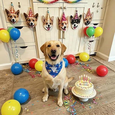 ADOGGYGO Birthday Boy Dog Tuxedo Bandana, Blue Collar with Bow Tie, Adjustable Formal Birthday Costume for Medium Dogs (M)