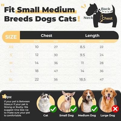 PETCARE Small Dog Sweater Cute Bear Dog Cardigan Coat Clothes for Small Medium Dogs Boy Girl Cat Sweaters Clothes for Cats Only Soft Warm Fall Winter Puppy Knitted Outfits Chihuahua Shih Tzu, Beige