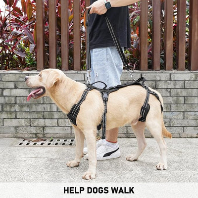 COODEO Mobility Dog Lift Harness, Support Sling & Walking Sling for Dogs, Pet Rear Leg Rehabilitation Support Vest, Dog Carrier for Senior Dogs with Joint Injuries, Arthritis, Up Stair (Black, L)