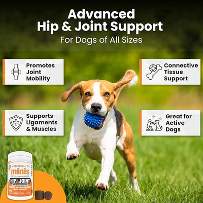 Progility Hip & Joint Supplement for Dogs – Daily Joint Support with Glucosamine, MSM, Chondroitin & Hyaluronic Acid, Soft Chews Value Pack (250 Count)