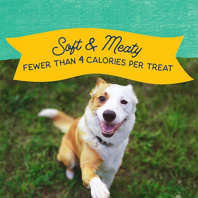 Natural Balance Limited Ingredient Mini-Rewards Chicken Grain-Free, Training Treats for Dogs | 5.3-oz. Canister (Pack of 2)