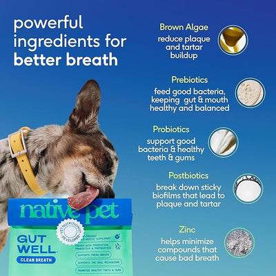 Native Pet Clean Breath Dog Dental Care - Teeth Cleaning for Fresh Breath, Clean Teeth & Healthy Gums - Tartar and Plaque Remover - Dog Breath Freshener - 120 Scoops