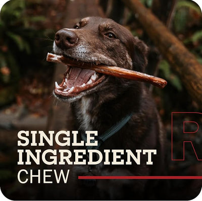 Redbarn Bully Springs for Dogs, 1-Count
