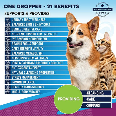 Cat & Dog Multivitamin Liquid with Glucosamine & Cranberry | 21 in 1 Health Supplements for Urinary Tract Kidney, Bladder, Hip & Joint, Skin & Coat | Natural UTI Medicine (60 ml)