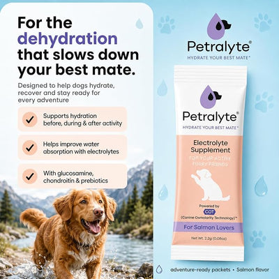 Dog Electrolytes and Joint Supplement | Hydration Support for Dogs w/Glucosamine, Chondroitin & More | Electrolytes for Dogs with Prebiotics | Salmon Lovers | 32 Packets