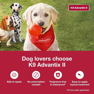 K9 Advantix II XL Dog Vet-Recommended Flea, Tick & Mosquito Treatment & Prevention | Dogs Over 55 lbs. | 1-Mo Supply (Pack of 3)