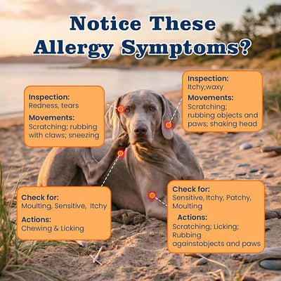 Dog Allergy Chews-120 Crunchy & Creamy Chews, anti-Allergy & Itching Skin Relief Bites Immune Support, with Omega 3 Fish Oil Probiotics for Seasonal All Issues Allergies Made in USA Chicken Flavor