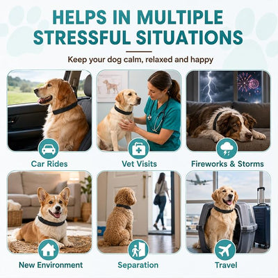 Calming Collar for Dogs – 6 Pack Pheromone Dog Anxiety Collar, Adjustable 25 Inch, Long-Lasting Stress Relief, Waterproof, All Breeds & Puppies, Up to 60 Days Per Pack (Black)