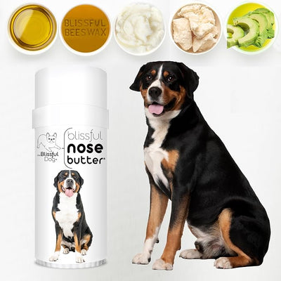 The Blissful Dog Greater Swiss Mountain Dog Unscented Nose Butter