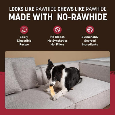Earth Animal No Hide Strips - Natural Rawhide Free Dog Chew Strips, Beef - 4 Count
