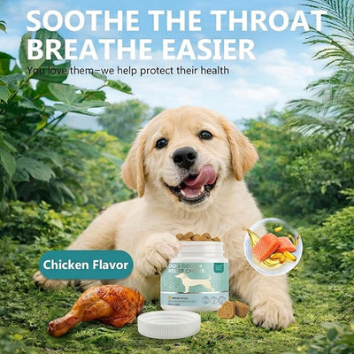 AiRunTech Dog Cough Relief Chews, 120 Count, Natural Ingredients, Real Chicken Flavor, Soft Chewy Treats for Dogs