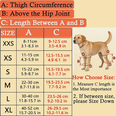 Dog Knee Brace for Leg, Adjustable Dog Braces for Torn ACL Support, Built in Side Stabilizers, Breathable Dogs Hip Brace for Arthritis Relief, Joint Stability and Post Surgery Recovery