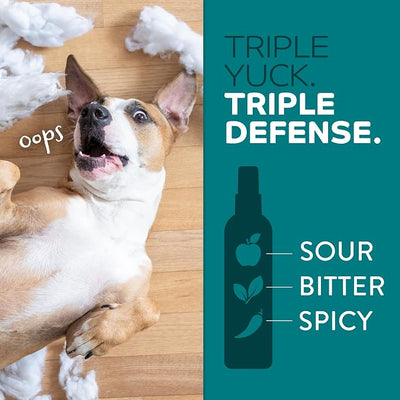 TropiClean No Chew Spray for Dogs, Better Than Bitter Apple Spray, Safe & Natural Chew + Lick Deterrent, Protect Home, Hot Spots & More! 8oz