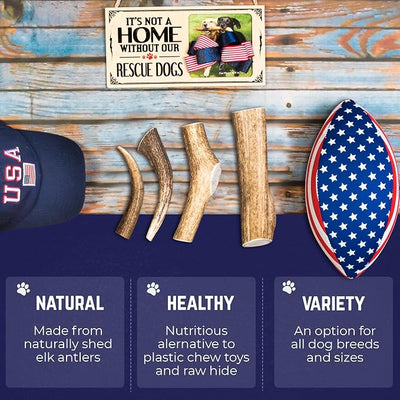 Devil Dog Pet Co. Elk Antlers for Dogs, Natural Dog Chew for Aggressive Chewers - Long Lasting and Odor Free - USA Sourced - Cleaner Teeth, Anxiety & Boredom Relief - Whole Beast 10"+ - Antler Bone