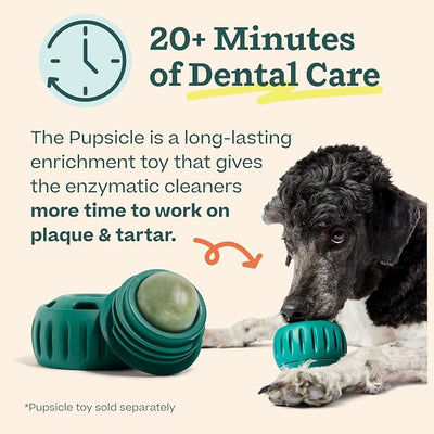Woof Doggy Dental Pupsicle Mix - Dog Teeth Cleaning Powder for the Pupsicle - Long Lasting Postbiotic Dental Enzyme Mix to Support Oral Health for Dogs