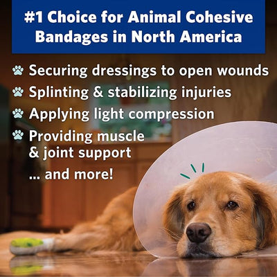 OVIK Health PetFlex No Chew – Flexible Self-Adhering Elastic Bandage for Wound Care – First Aid Wrap for Small Animals Like Dogs, Cats, and Other Pets - 2 inch, 2 Rolls