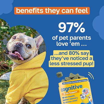 Happy Paws Cognitive Taurine Supplement for Dogs, Soft Chews with Spirulina, CoQ10 & Vitamins B1, B3, B12, Senior Dog Vitamins that Support Cognitive Function, Memory and Focus,