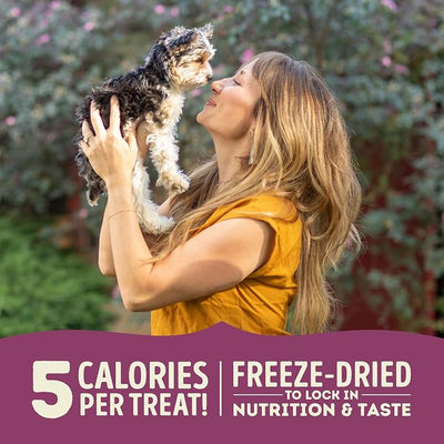 ACANA Singles Freeze Dried Dog Treats, Limited Ingredient Grain Free Lamb & Apple Recipe, 1.25oz (Pack of 2)
