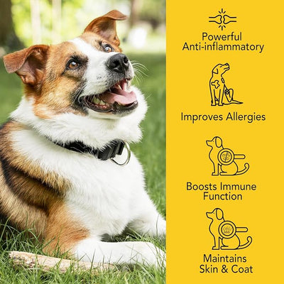 Dog Yeast Infection Treatment for Dogs, Natural Anti Yeast Drops for Itchy Skin & Ears | Allergy & Inflammation Relief | with Multivitamins Probiotics | 60ml, 2-Pack