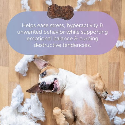 Tranquillium Calming Soft Chews for Dogs – Stress Support (30 Ct) | For stress & anxious behavior, Supports calm response, Non‑drowsy formula