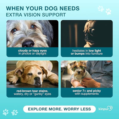 Clear Vision Eye Vitamins for Dogs – 4‑in‑1 Lutein, Lycopene, Vitamin C, Carrot & Fish Oil Vision Support for Senior & Adult Dogs with Cloudy Eyes & Tear Stains, Soft Duck Chews, 120 Tasty Treats