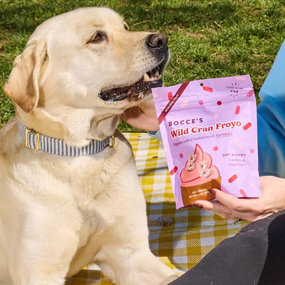 Bocce's Bakery Wild Cran Froyo Dog Treats – Natural, Wheat-Free Soft & Chewy Cookies Made with Real Ingredients – Baked in The USA and Topped with Cranberries & Sprinkles, 6oz