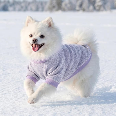 2 Pack Dog Sweaters for Small Dogs Girl Boy Winter Fleece Clothes Warm Soft Dog Sweatshirt Outfit for Dogs Cats Pet Apparel (Blue Purple+ Sweet Purple, L (Back: 15.7",Chest: 19.6",14-18Ibs))