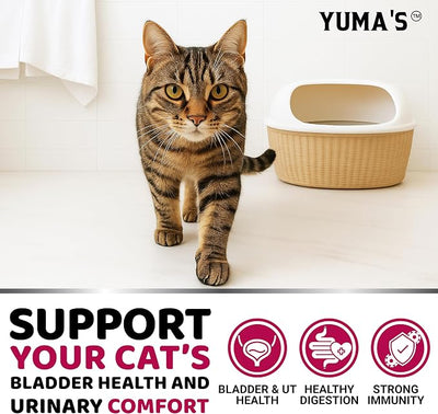Cat Urinary Tract Health - Cranberry Supplement for Cats - Promotes Healthy Digestion & Normal Bladder Function - Probiotics - Vitamins and Food Supplements - Immune & Multivitamin Support Chews