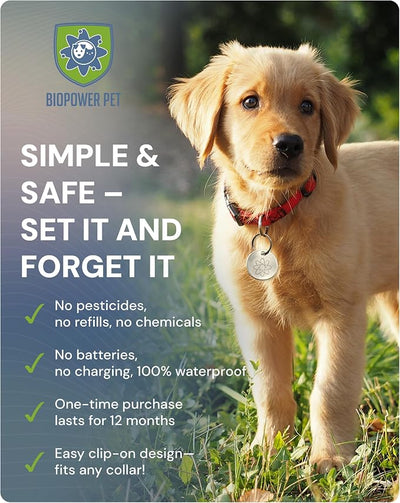 Shield Tag - Natural Flea & Tick Repellent Collar Tag for Dogs & Cats - Waterproof, Lasts 12 Months - Stainless Steel Pendant - Small/Regular Tag Bundle (2 Pack)