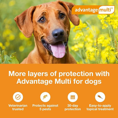 Advantage Multi Topical Solution for Dogs 6 Doses, 55.1-88 lbs (Blue)