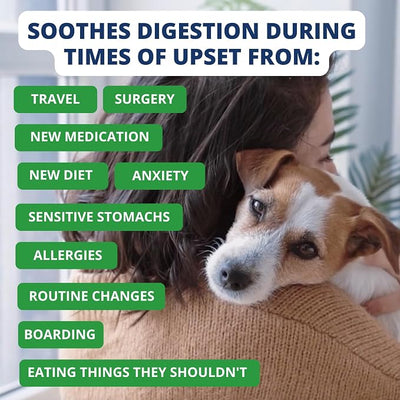 Under the Weather Bland Diet for Dogs | Easy to Digest for Sick Dogs |Always Be Ready| Contains Electrolytes - Natural Freeze Dried 100% Human Grade Meats| 2 Pack- Rice, Hamburger & Sweet Potato - 6oz