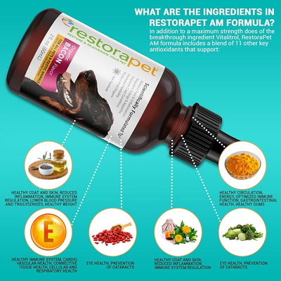 RestoraPet 4-Pack Dog & Cat Beef Liquid Multivitamin | Senior Pet Support | Hip & Joint Vitamins for Dogs - Anti Inflammatory Supplement for Dogs & Cats | Plant-Based & Non-GMO, Vet Approved