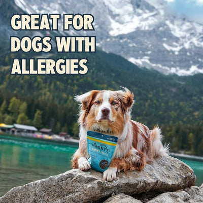 Jiminy's Chewy Training Treats for Dogs, Low Calorie, Hypoallergenic Insect Protein, Made in USA, 6oz, Peanut Butter & Cranberry (Pack of 1)