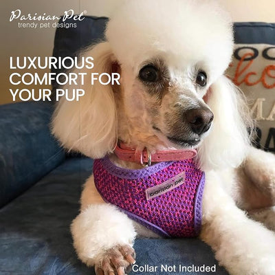 Parisian Pet Girl Dog Harness - Breathable Mesh Purple Pink No Pull Puppy Harness with Leash Ring - Adjustable Harnesses for Dogs - Soft Step-in Pet Vest - Lightweight Dog Vests for Large Dogs