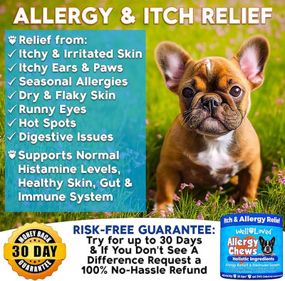 Well Loved Dog Allergy Chews - Dog Allergy Relief, Itching Skin Relief, Hot Spot Treatment & Seasonal Allergies, Vet Developed, Anti Itch Skin Irritation Treatment, Made in USA, 120 Chews