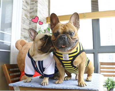 iChoue French Bulldog 100% Breathable Cotton Striped T Shirts Halloween Vest Clothes for Medium Dogs Tank Tops Frenchie Pug English Boston Terrier Pitbull Yellow Black Stripes - Large Plus