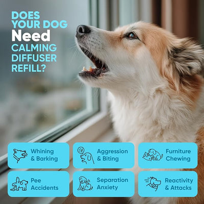 STUNICK CB1 Dog Calming Diffuser, Calming Pheromones, 60 Day Supply, 2 Diffuser and 4 Refills, Helps Reduce Stress, Separation, Pee Accidents, Barking, & Destructive Behaviors