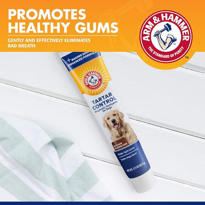 Arm & Hammer for Pets Tartar Control Enzymatic Dog Toothpaste, Reduces Plaque & Tartar Buildup, Infused with Baking Soda, Safe for All Dogs and Puppies, Beef Flavor, 2.5 Oz - 72 Pack