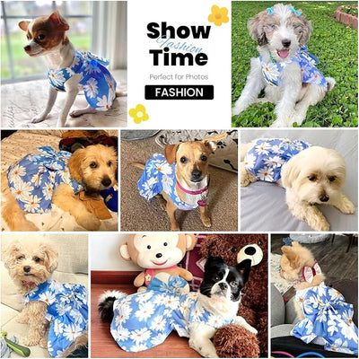 ABRRLO Cute Dog Dress Small Dog Clothes for Girls Female Puppy Outfits Blue Daisy Pet Summer Clothes Bowknot Doggy Cat Princess Dress Harness Set for Holiday Birthday Party Costume Clothing(Blue,XS)