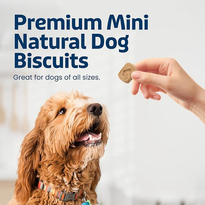 Blue Buffalo Mini Health Bars Apples & Yogurt Crunchy Dog Biscuits, Bite-Sized for Training, Oven-Baked with Real Apples & Natural Ingredients, Healthy Dog Treats, Box 2 lbs.