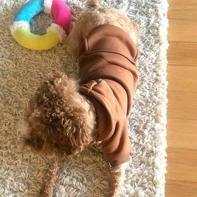 Jecikelon Soft Dog Hoodies for Small Dogs, Fleece Puppy Sweatshirt with Pockets, Warm Winter Cold Weather Coats for Pet Cat, Cute Clothes Puppy Costume (Coffee, X-Small)