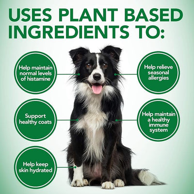 Vet's Best Healthy Coat Shed & Itch Relief Dog Supplements | Relieve Dogs Skin Irritation and Shedding Due to Seasonal Allergies or Dermatitis | 50 Chewable Tablets,(Pack of 2)